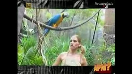 Смях - Куриозни Случки Със Животни!