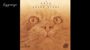 Coyu And Sezer Uysal - Cygnus ( Original Mix )
