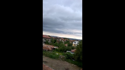 гълъбите ми