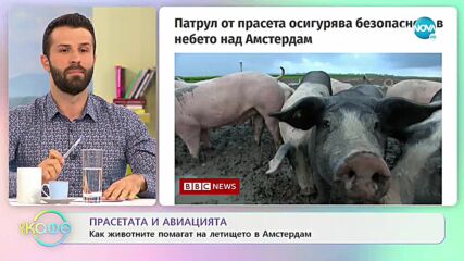 Храним кучето си грешно - грози ни затвор - „На кафе” (19.10.2021)