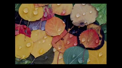 Michael Lee Firkins - Rain In The Tunnel 