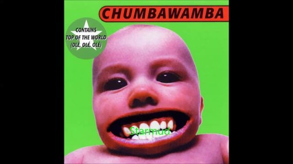 chumbawamba - i get knocked down Chumbawamba - Tubthumping Hq