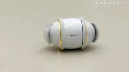 Sony Rolly in Motion