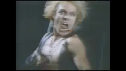 Wasp manimal