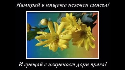 Рецепта за щастие 