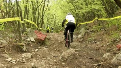 Shambhala open cup 2011