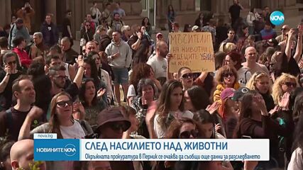 Прокуратурата се очаква да излезе с подробности по разследването за насилието над животни