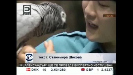 Папагал имитира над 50 звука