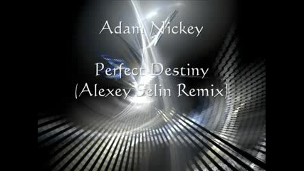 Adam Nickley - Perfect Destiny