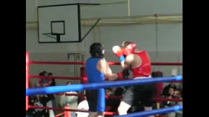 гратско по бокс 2009