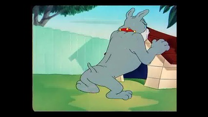 Tom And Jerry - The Framed Cat (1950)