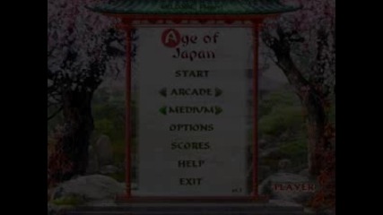Age of Japan (bigfish games)