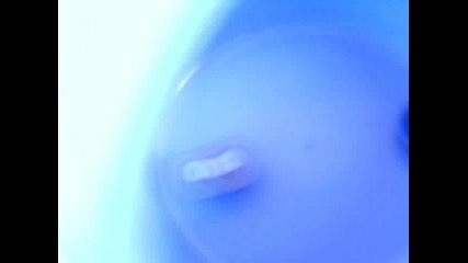 beyblade metal fision bg