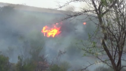 Лозята на Рилци пламнаха, загаси ги пороен дъжд