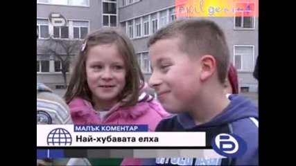 Бтв Малък Коментар - Най - Хубавата Елха
