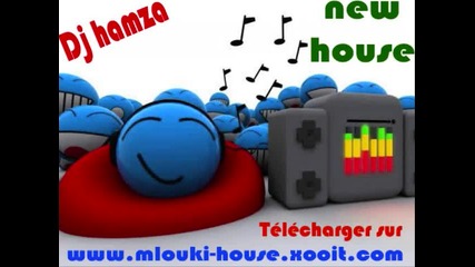 New House Music 2010 Dj Hamzavaya