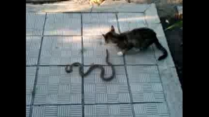 Vid 00067 - 20100718 - 0800