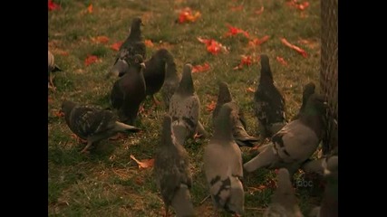 A beautiful mind (2001) Bg Subs [част 1]