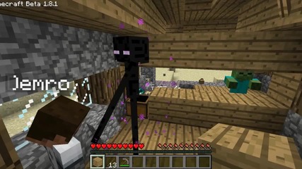 Minecraft_ Pet Enderman