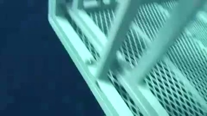 ужасен инцидент – акула разбива клетката на водолазите 