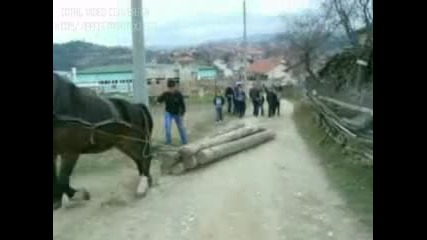 Мечо - Света Петка