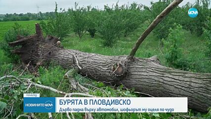 Бурята в Пловдивско унищожи 80% от реколтата
