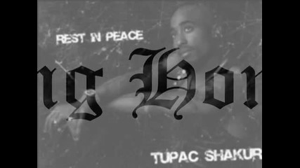 I_m Coming Home (remix)- Tupac ft. Skylar Grey