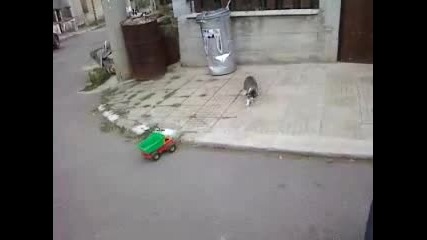 Бухово