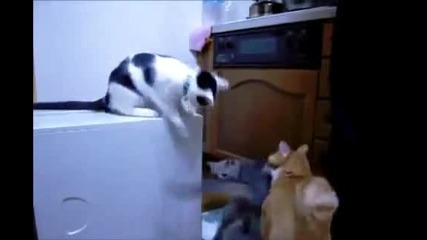 пак го отнесе невинния ..;d