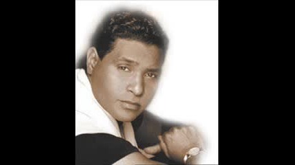 Stevie B - I Wanna Be The One