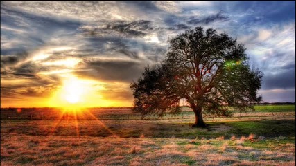 The Very Best Of Trance (part 8) Uplifting Trance Music !