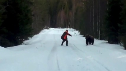 Швед изплаши мечка с мощен рев