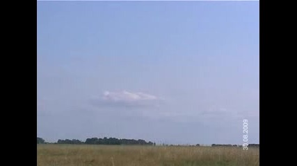 николаевски гълъби~2