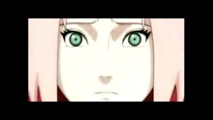 Sasosaku - It Was You