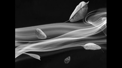 Miss you in my dream - Igor Krutoi 