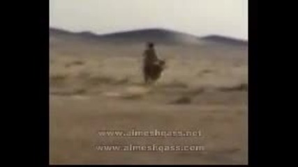 Арабски Каубой 