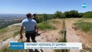 Източници на NOVA: Два са избягалите леопарди в Шуменско. МВР: При нас няма сигнали за второто животно