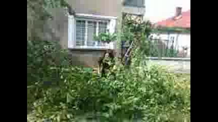 Petio
