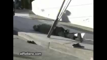 Идиоти на 2008 година 