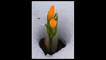Пролетта пристигна