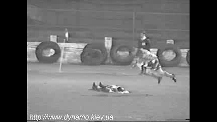 Смях197