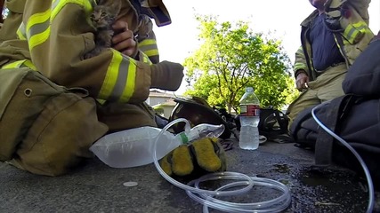 Страхотно видео пожарникари спасяват котенце