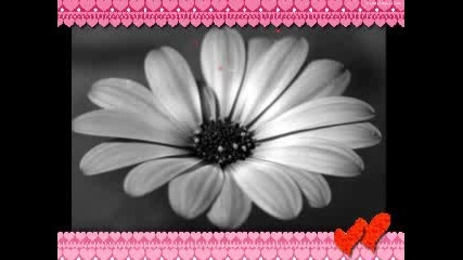 Lofff You