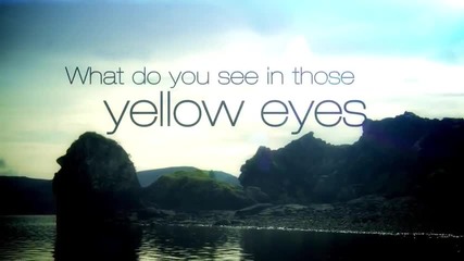 David Guetta - She Wolf (lyrics Video) ft. Sia
