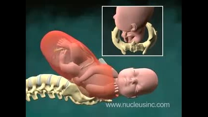 Анимационно раждане на бебе