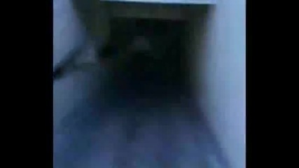Remi полудява