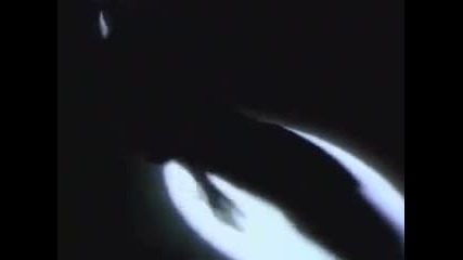 Steelheart - Shes Gone