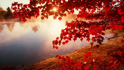 Dyathon Good Morning (epic Fantasy Emotional)