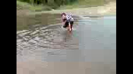 Govedo.3gp