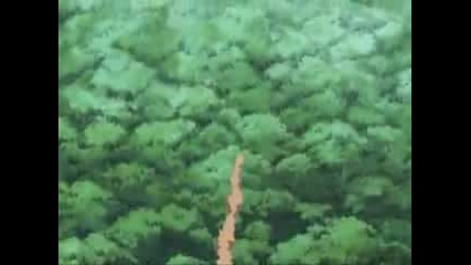 Naruto Shippuuden Amv 